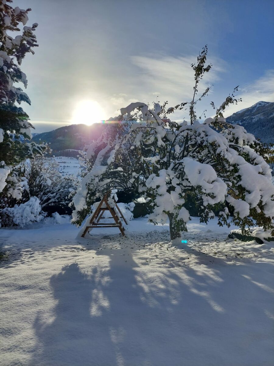 Dezember 2021 Alpine View Apartments