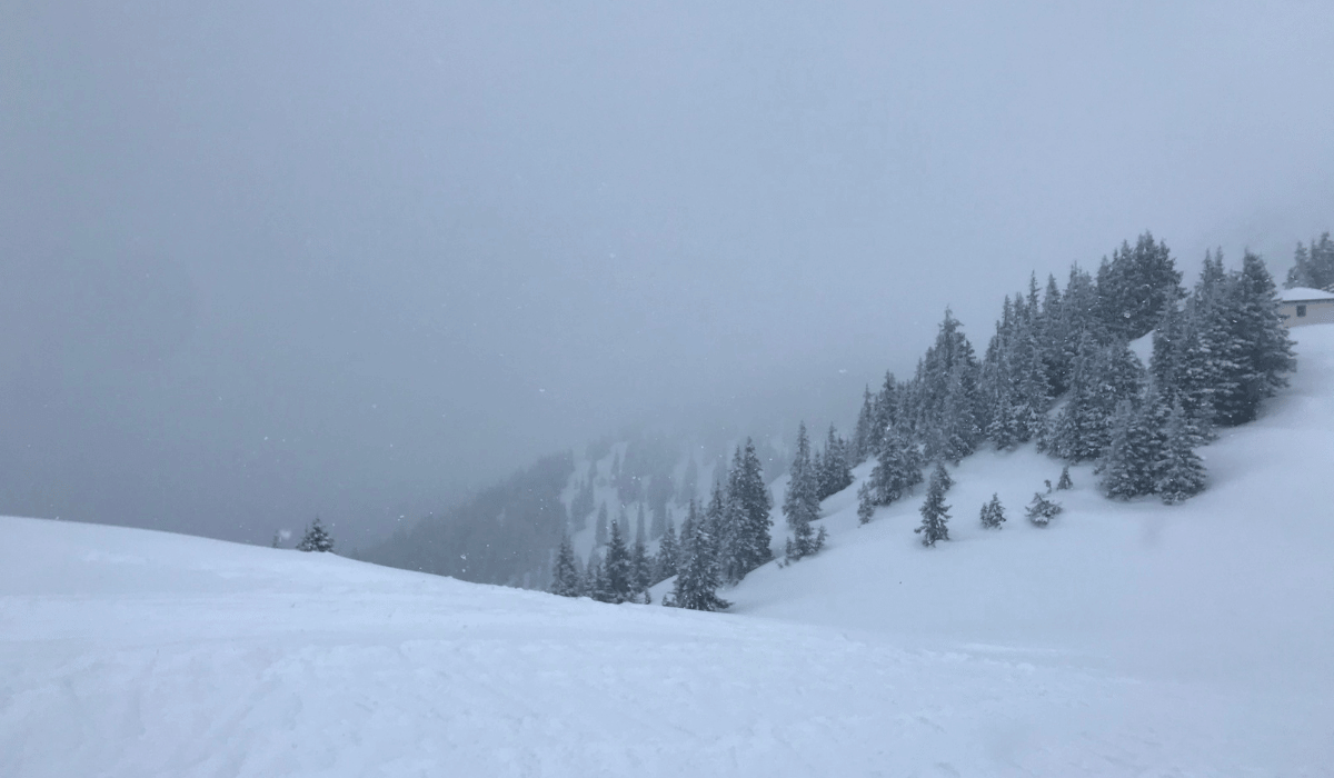 Flat Light Skiing What You Need to Know Alpine Coasters