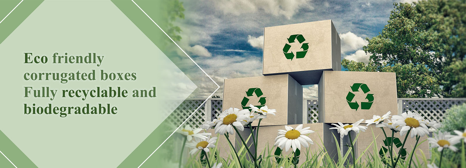 to Alpine Containers Pvt. Ltd.