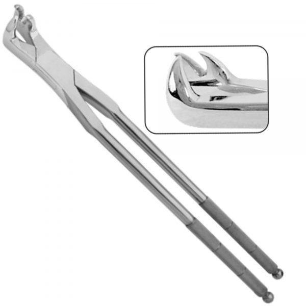 Lower Right Three Prong Root Molar Equine Dental Extraction Forceps 12