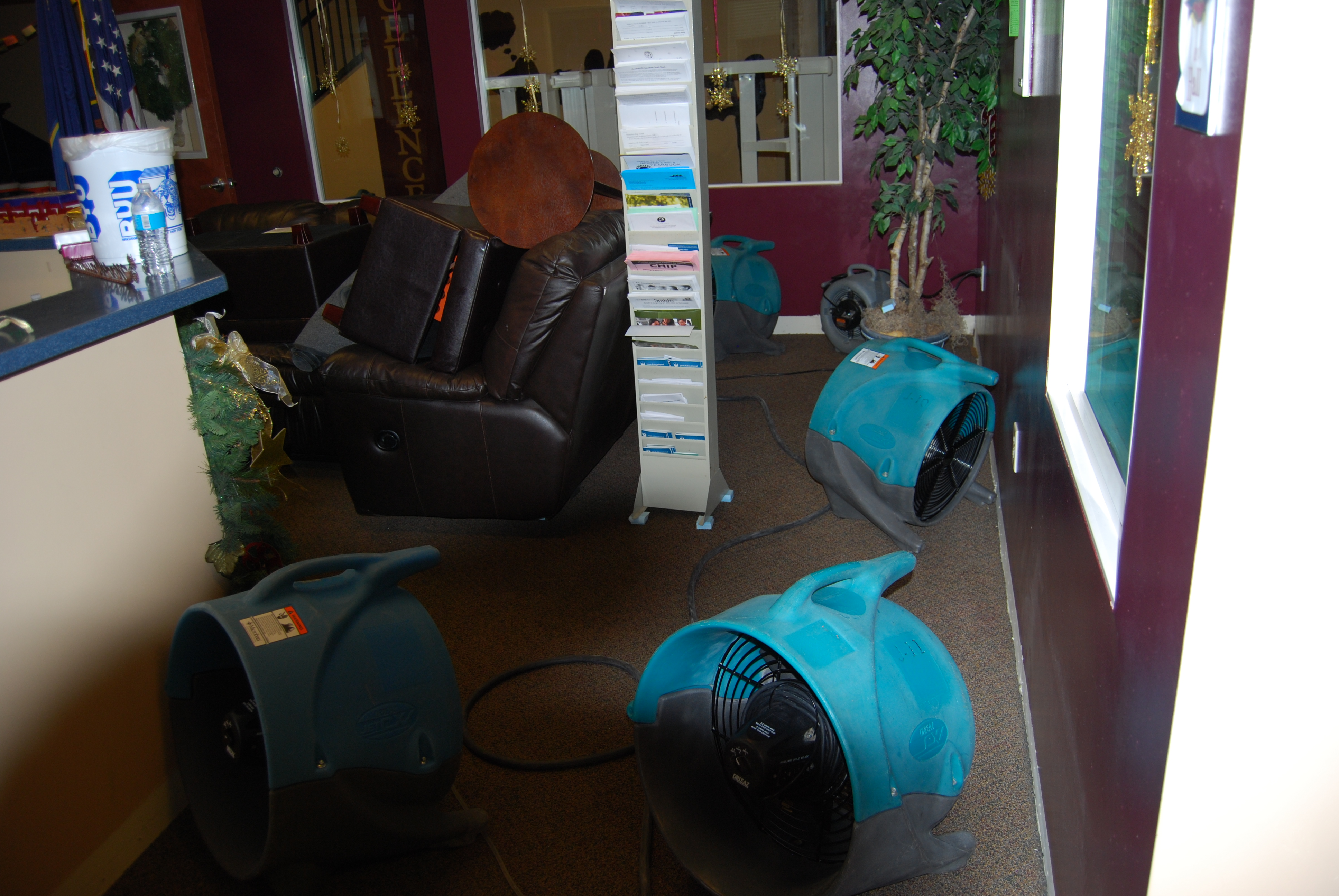 Alpine Professional Carpet Care Provo Carpet Cleaning Mountainville