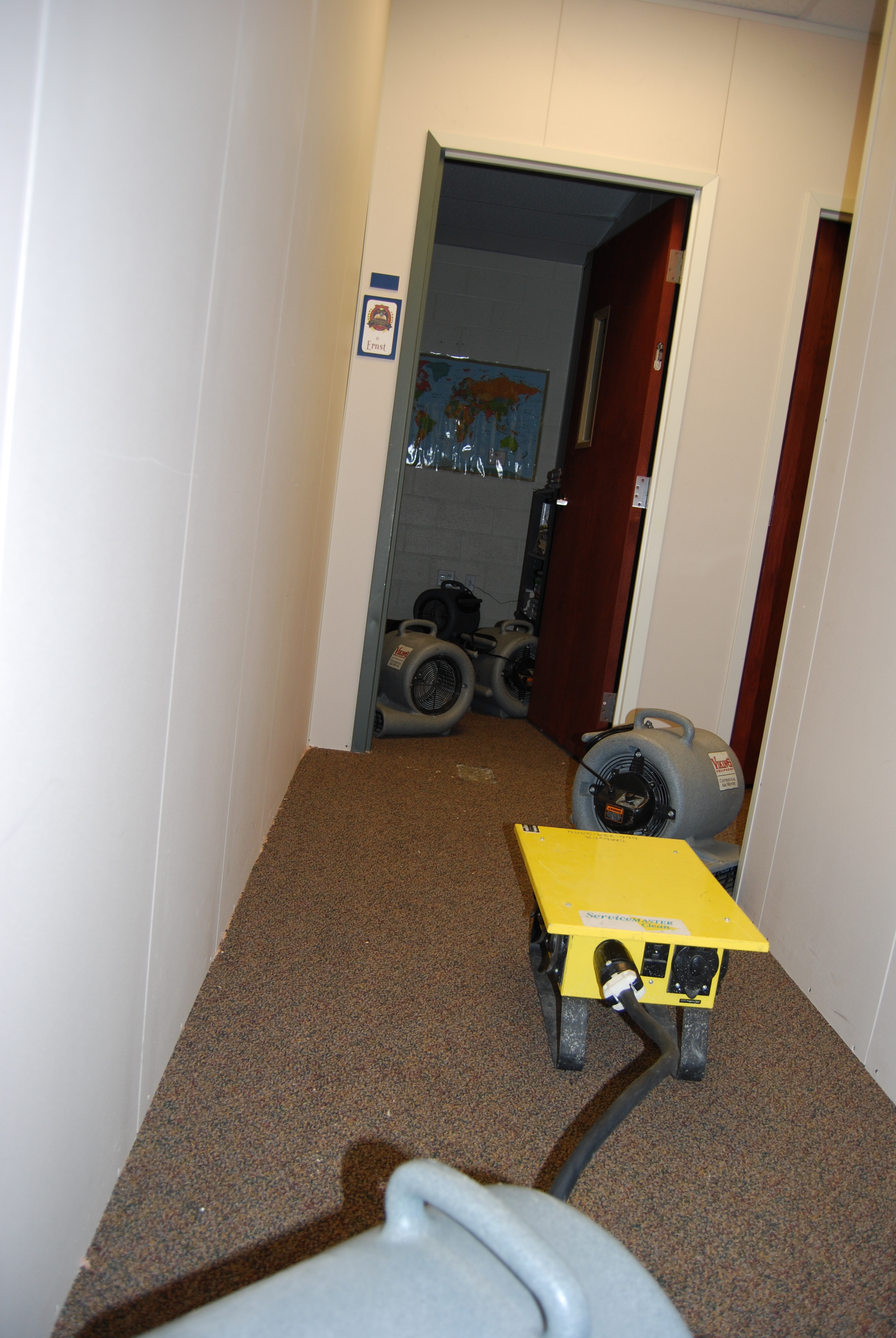 Alpine Professional Carpet Care Provo Carpet Cleaning Mountainville