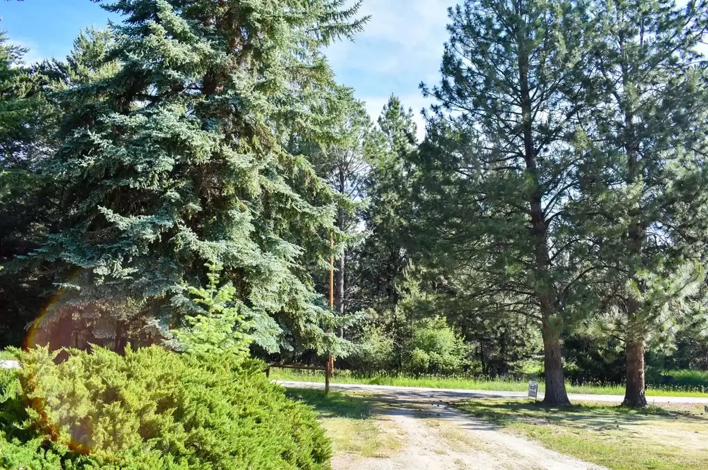 Alpine Realty Alpine Realty