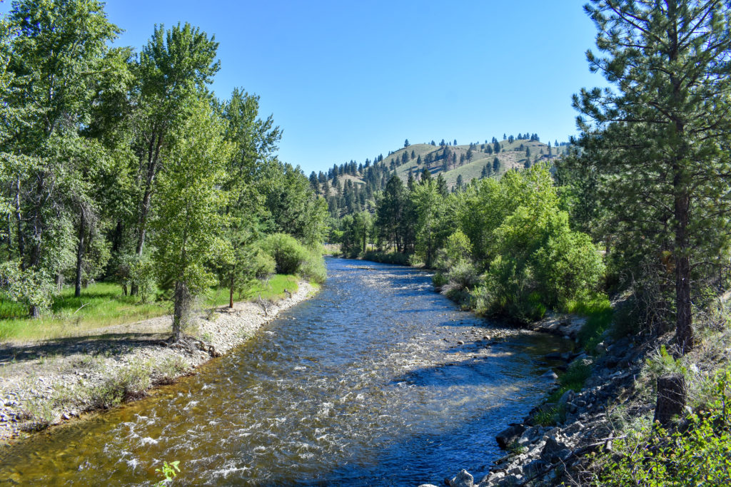 Alpine Realty Alpine Realty