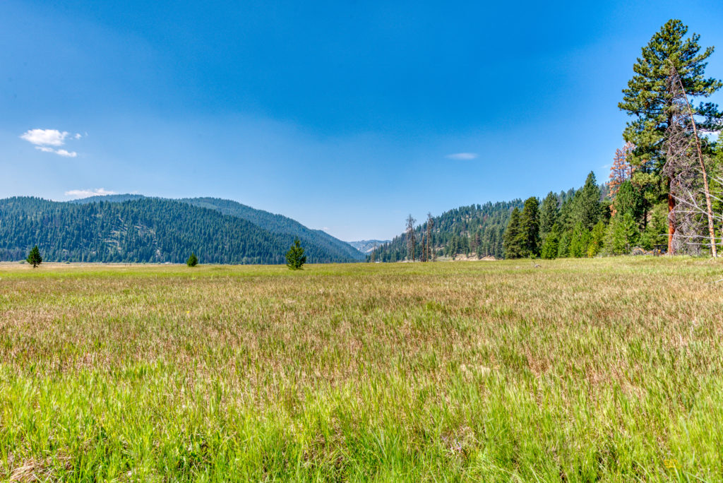 Alpine Realty Alpine Realty