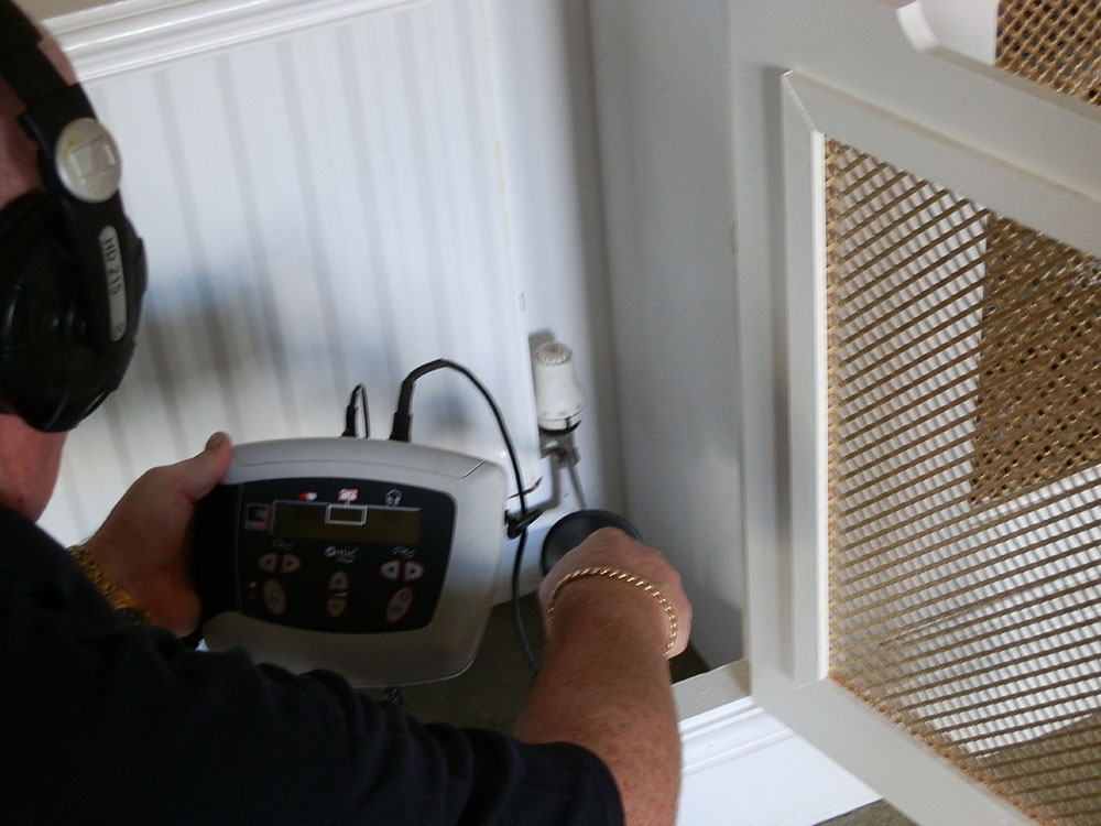 Damp Surveys FAQ Alpine Property Group Ltd