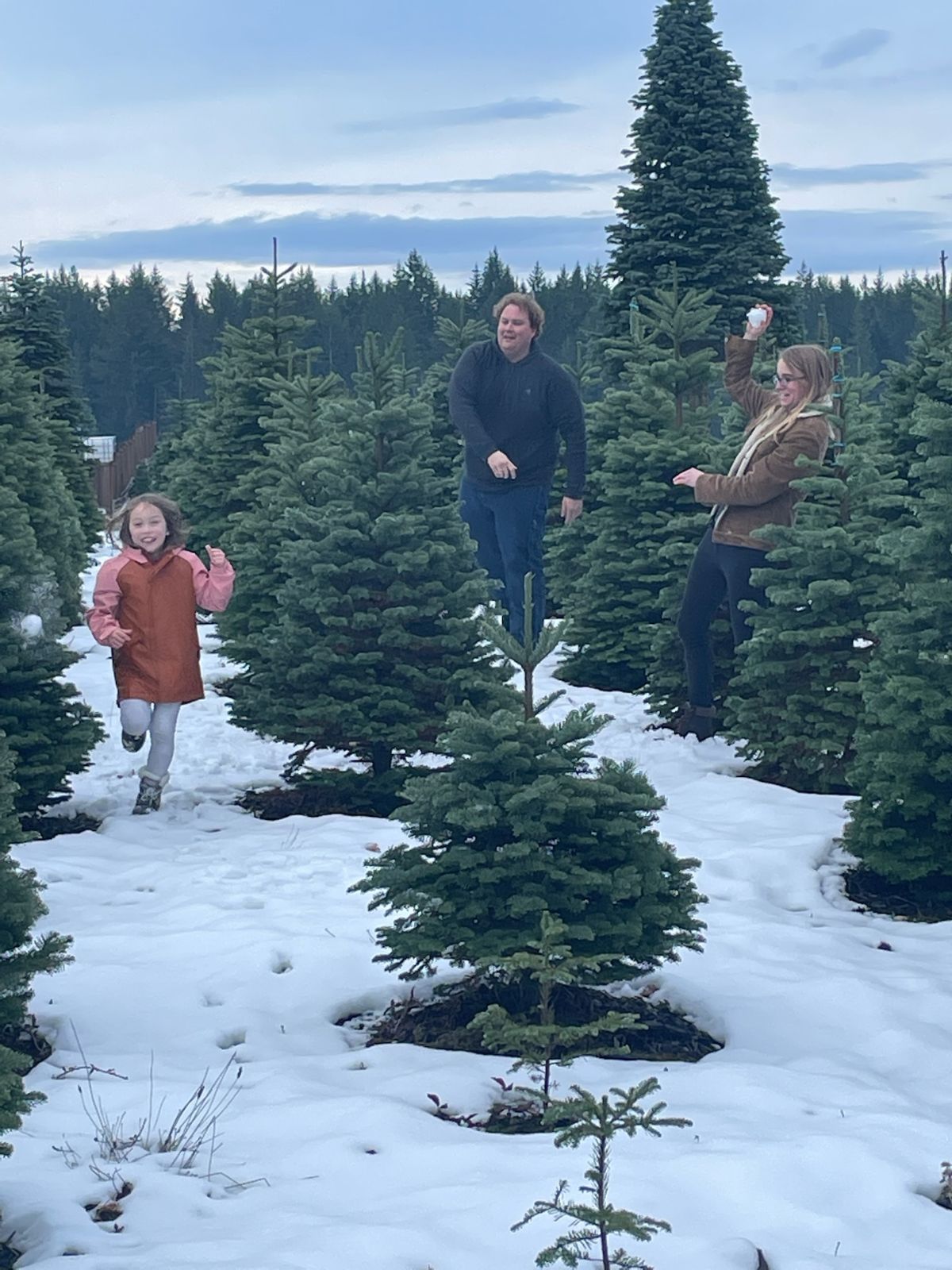 Alpine U Cut Premium UCut Christmas Tree Farm