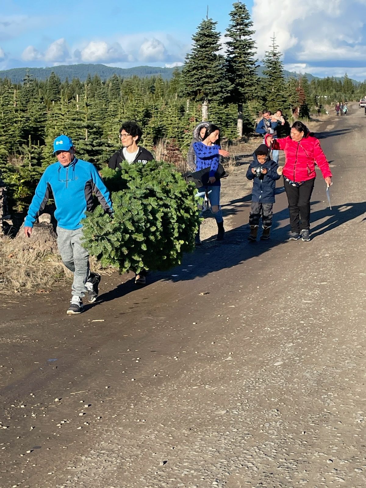 Alpine U Cut Premium UCut Christmas Tree Farm