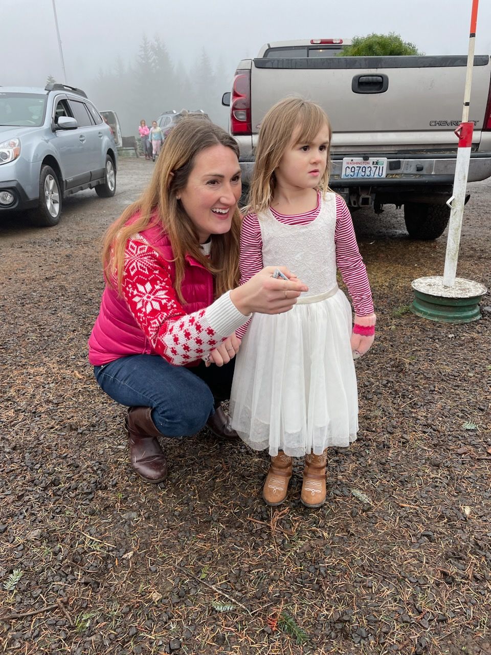 Alpine U Cut Premium UCut Christmas Tree Farm