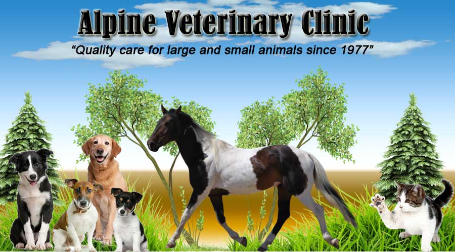 Alpine Veterinary Clinic