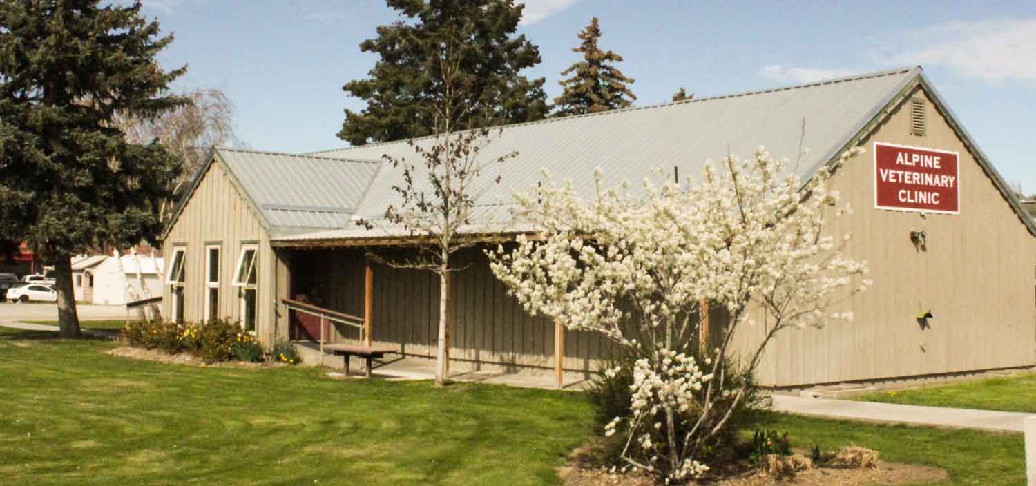 Alpine Veterinary Clinic