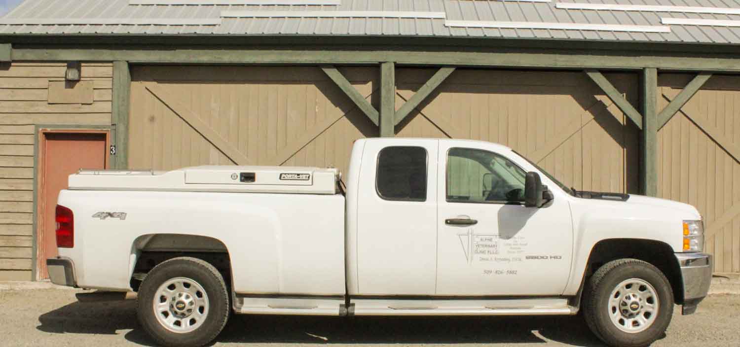 Alpine Veterinary Clinic