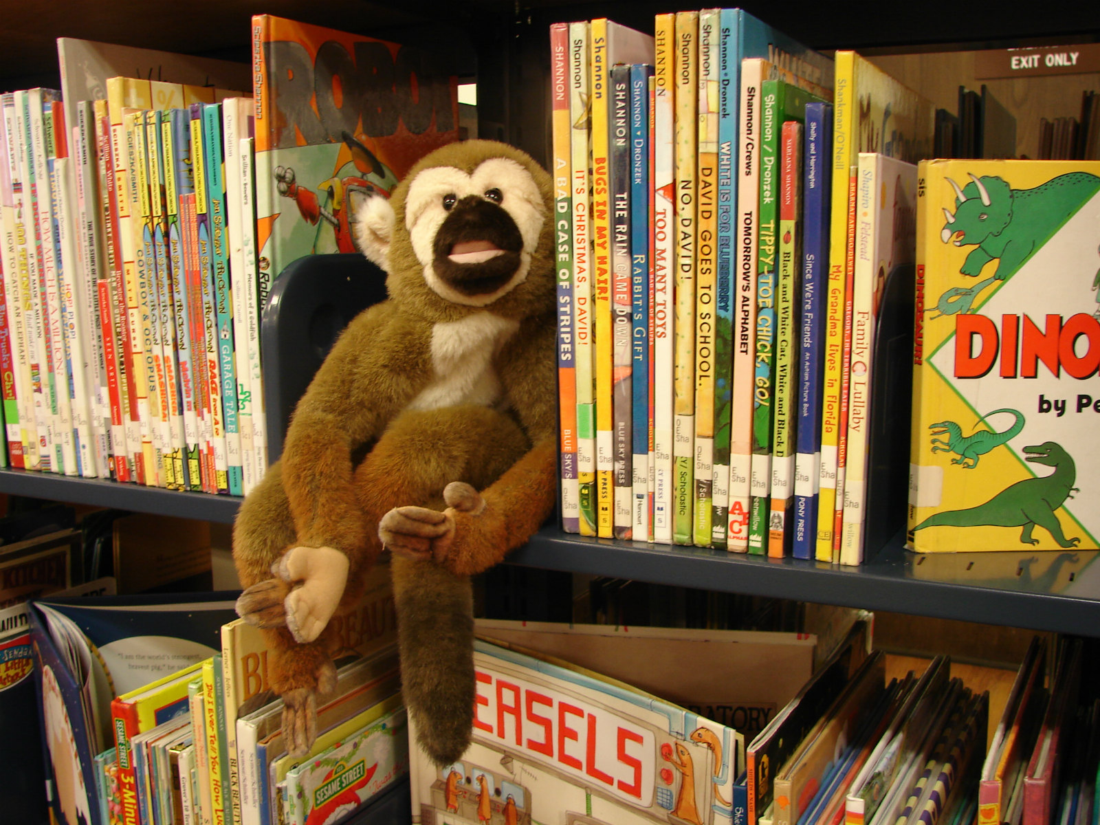 Children Services Albert Lea Public Library