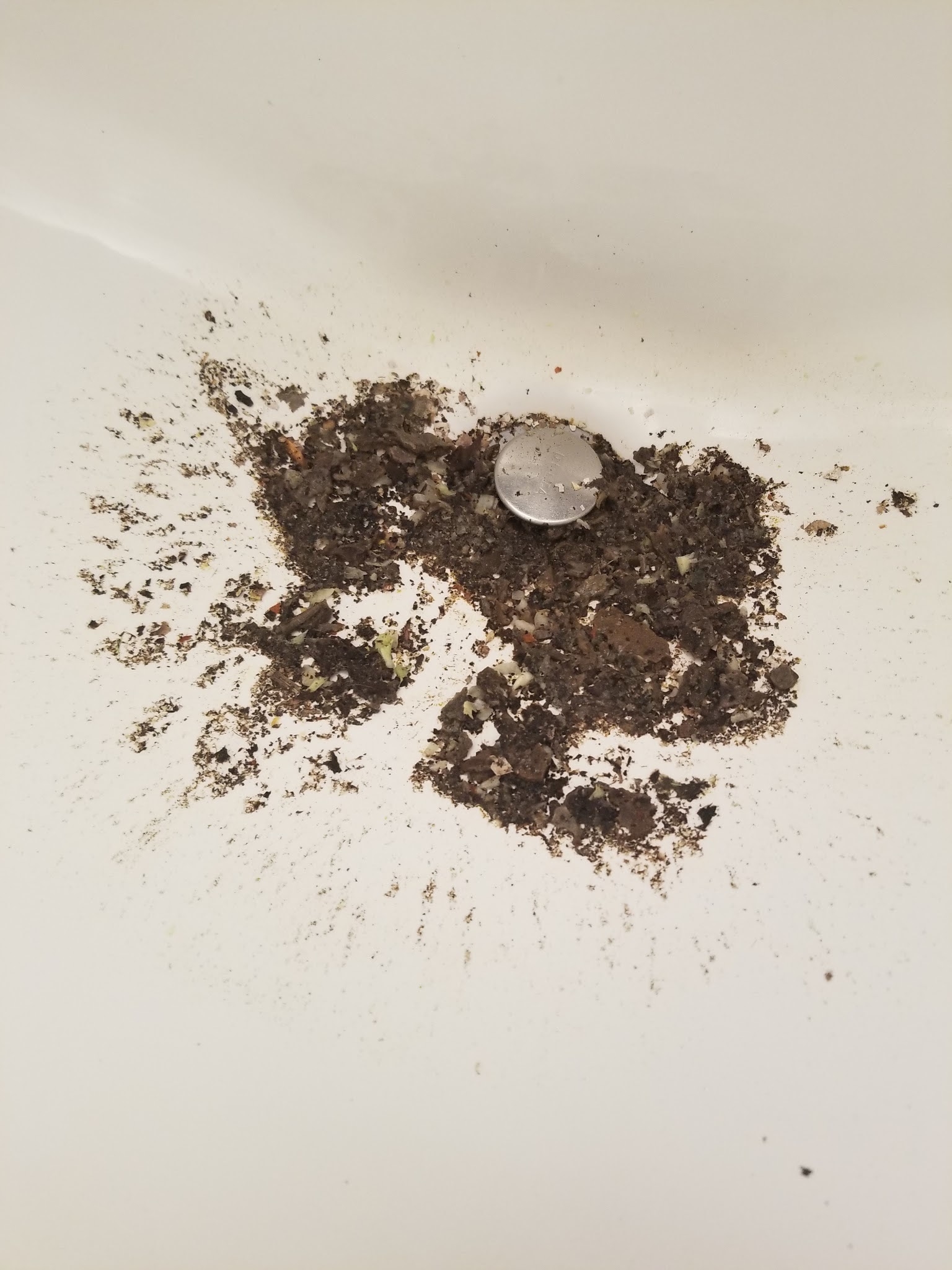 What Is The Black Stuff In A Clogged Drain at Penny Delay blog