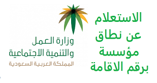 استعلام عن نطاق مؤسسة