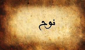 تفسير حلم سيدنا نوح في المنام