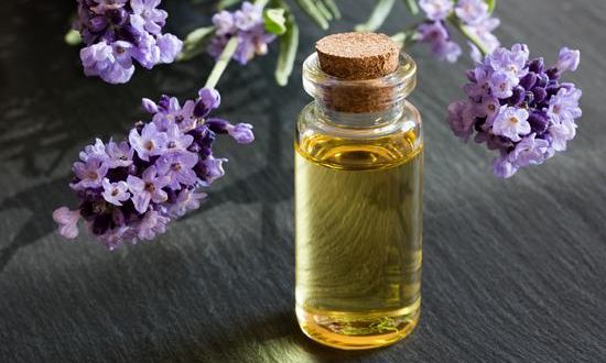 تجارب زيت اللافندر للشعر