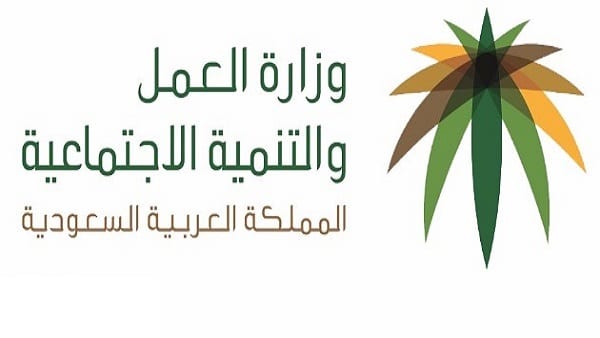 متى ينزل الضمان بعد التسجيل