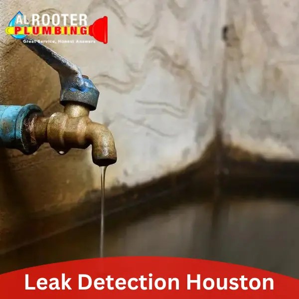 Leak Detection alrooterplumbing
