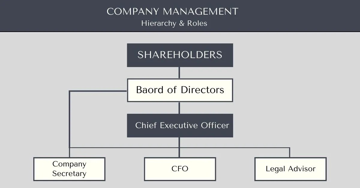 Company Management Hierarchy And Roles A Quick Guide