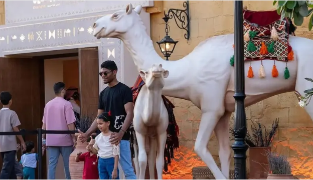 جناج الإبل فى موسم جدة 2024