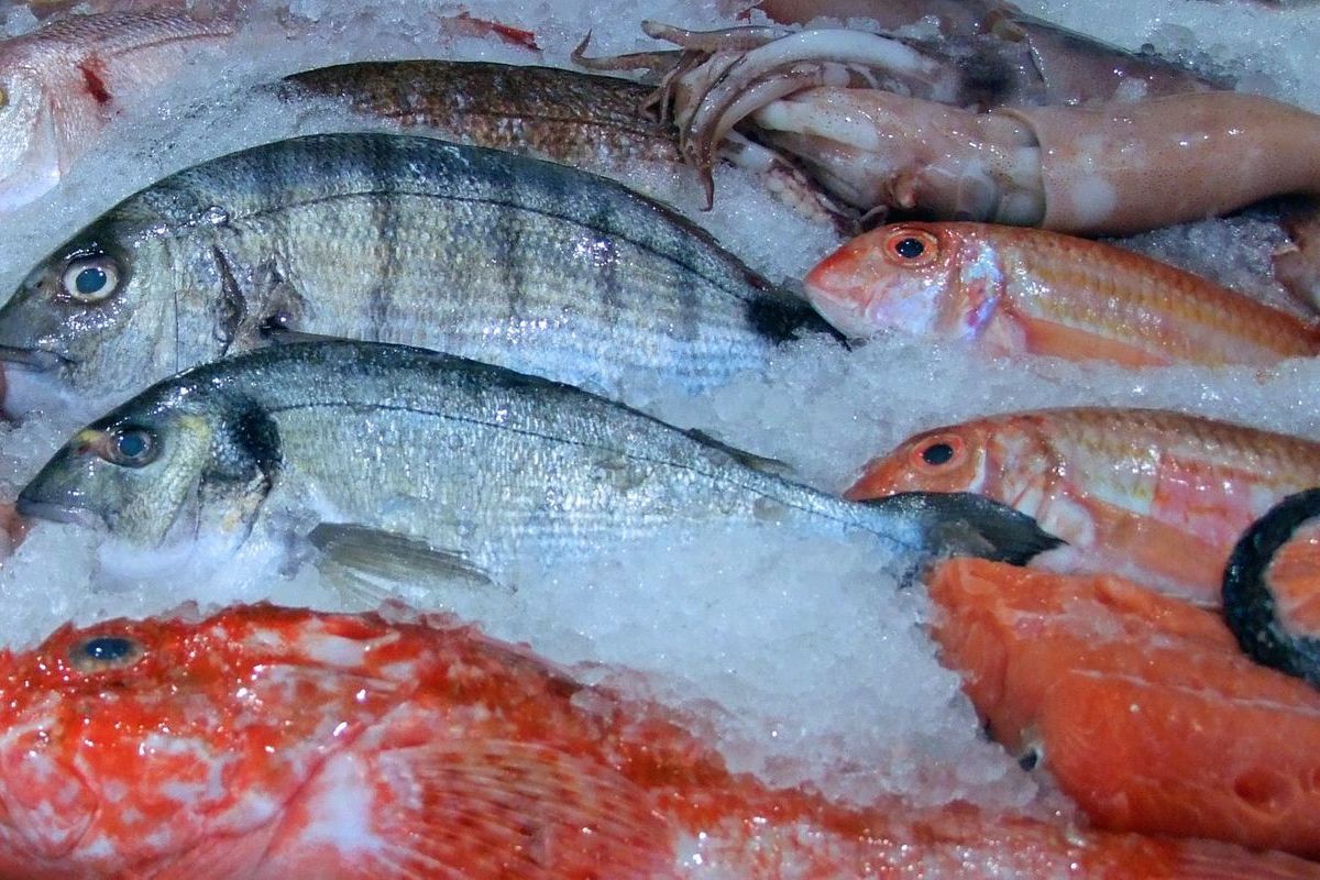 Al's Fresh Fish and Seafood Always Fresh, Always at Al's