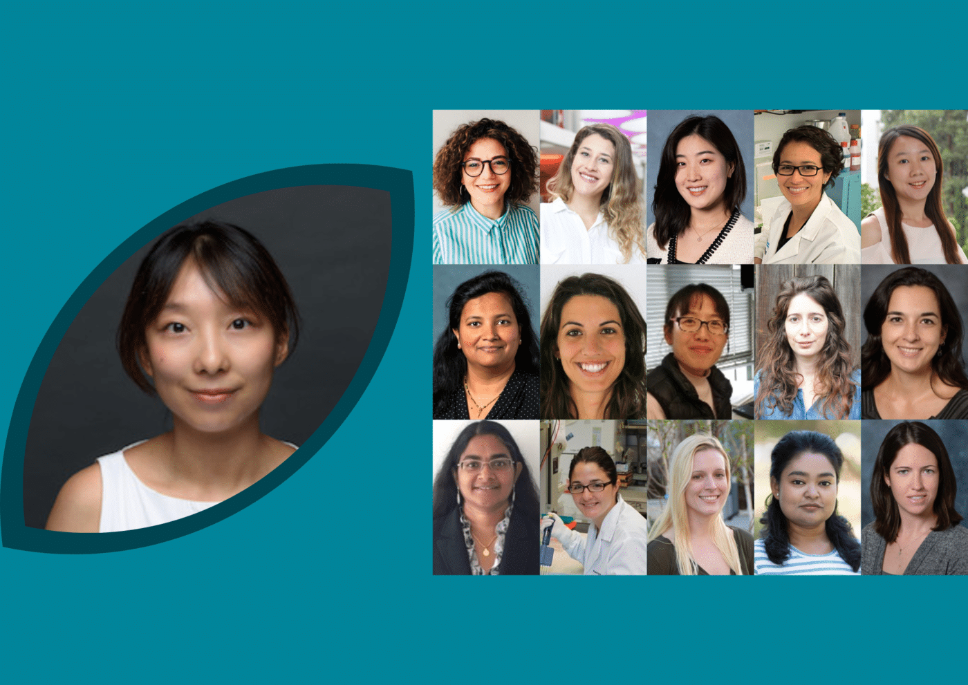 Article Header Graphics (4) ALS Network