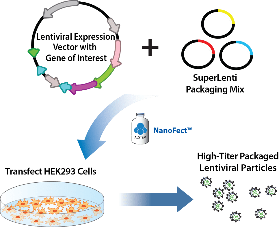 Lentiviral Packaging Third Generation Mix ALSTEM