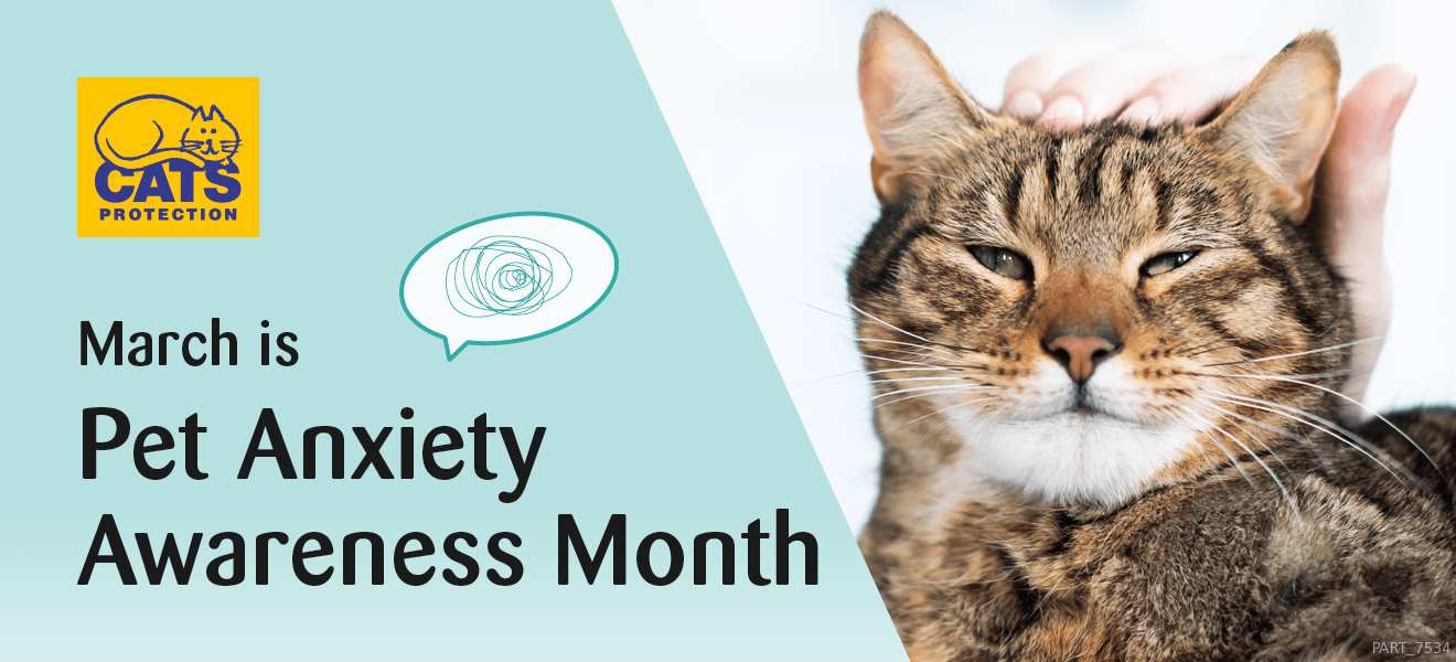 Pet Anxiety Awareness Month ALStrays Animal Welfare & Pet Ownership