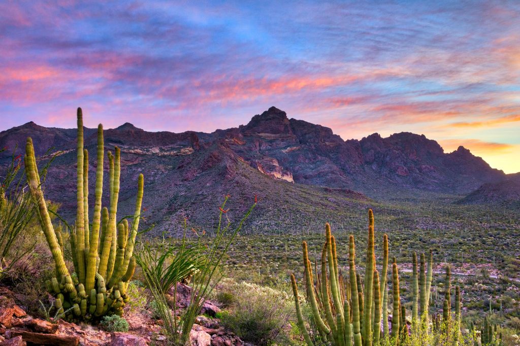 Alta Survey in Buckeye Arizona ALTA Land Survey