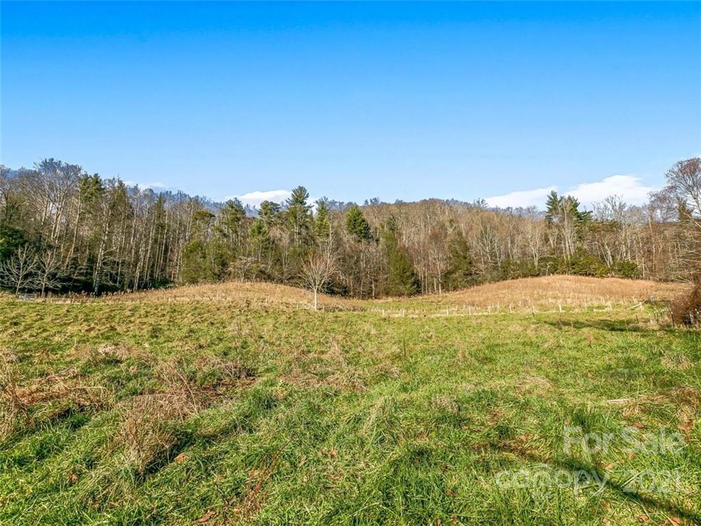 Farm for Sale in Weaverville NC 52 Acres Pastures Creeks