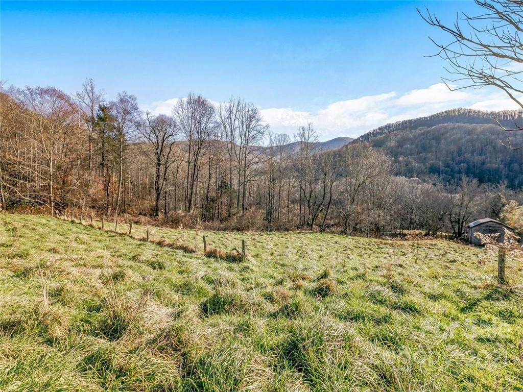 Farm for Sale in Weaverville NC 52 Acres Pastures Creeks