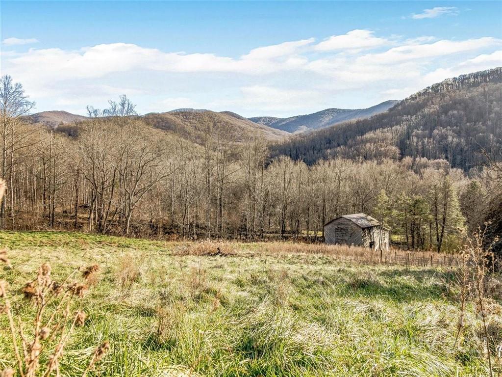 Farm for Sale in Weaverville NC 52 Acres Pastures Creeks