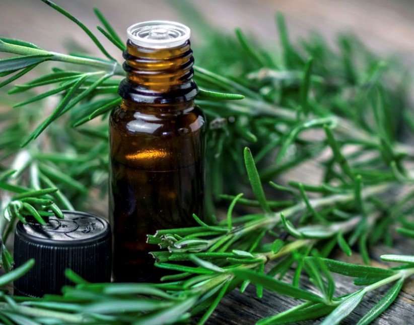 Getting Your Smell and Taste Back AlternaCare