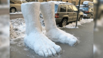 two feet of snow in new york