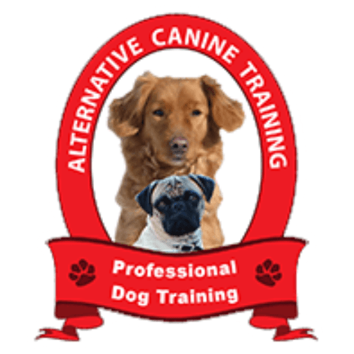 Royal Oak Dog Boot Camp for Dog Training and Obedience ACT