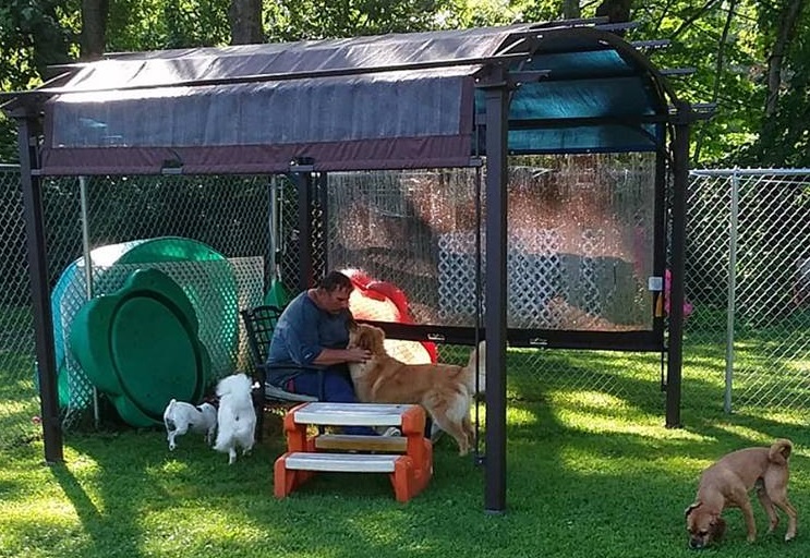 Alternative Dog Daycare & Learning Center Photos