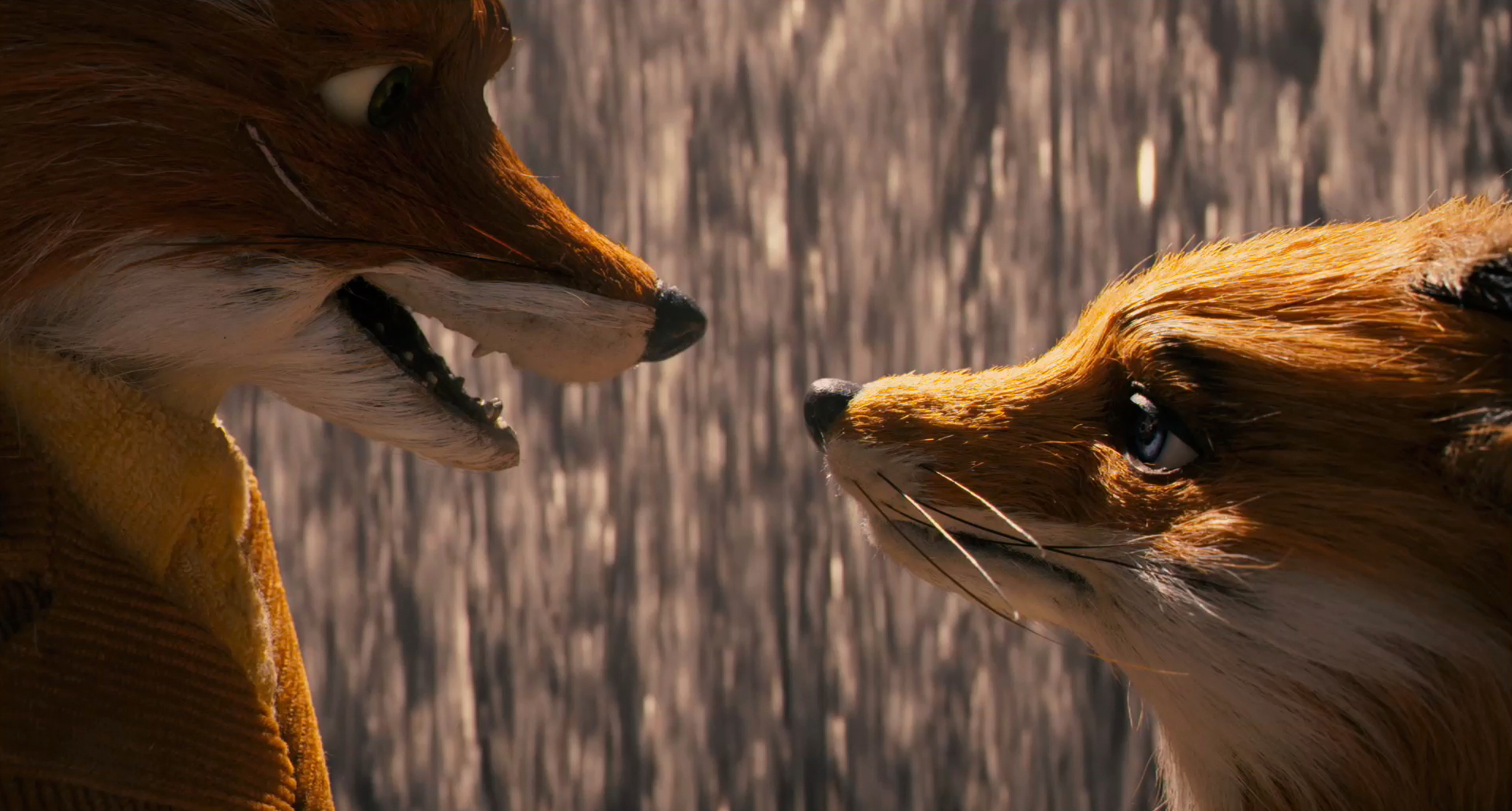 FILM REVIEW Fantastic Mr Fox Alternative Magazine Online