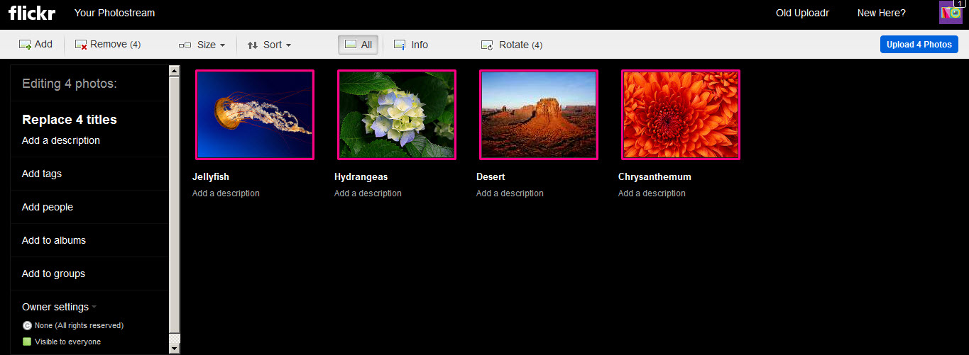 6 Flickr Alternatives and Competitors