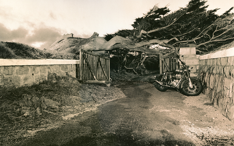 LITH PRINTING » alternative print