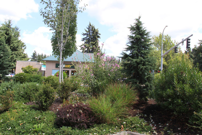 Landscape Architecture, Brookfield Veterinary Hospital Redmond, WA