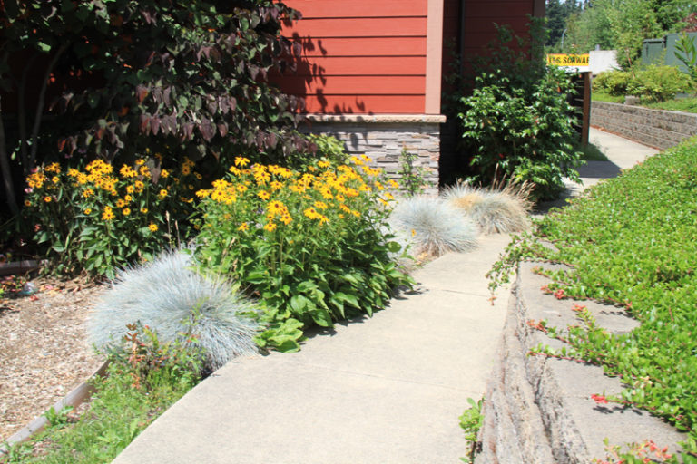 Landscape Architecture, Brookfield Veterinary Hospital Redmond, WA