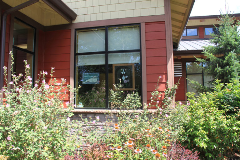 Landscape Architecture, Brookfield Veterinary Hospital Redmond, WA