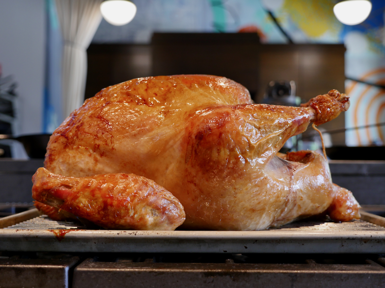 The Really Final Turkey, with Gravy Alton Brown