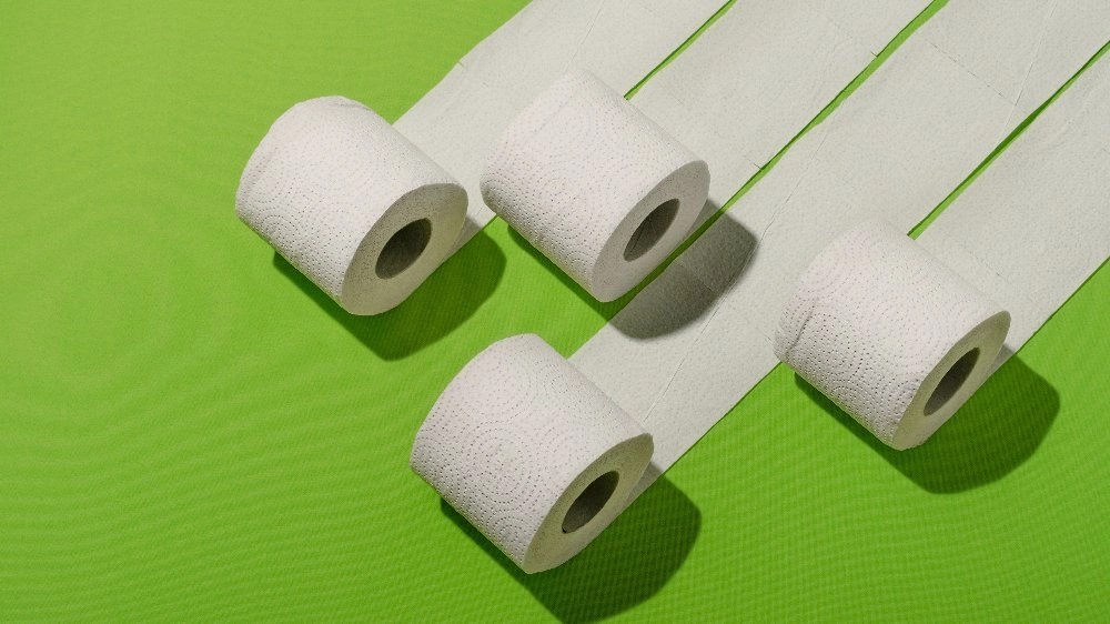 Hemp Toilet Paper, a Solution for a Sustainable World Alternative