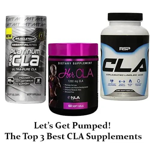 Best CLA Supplements Which is Right For You?
