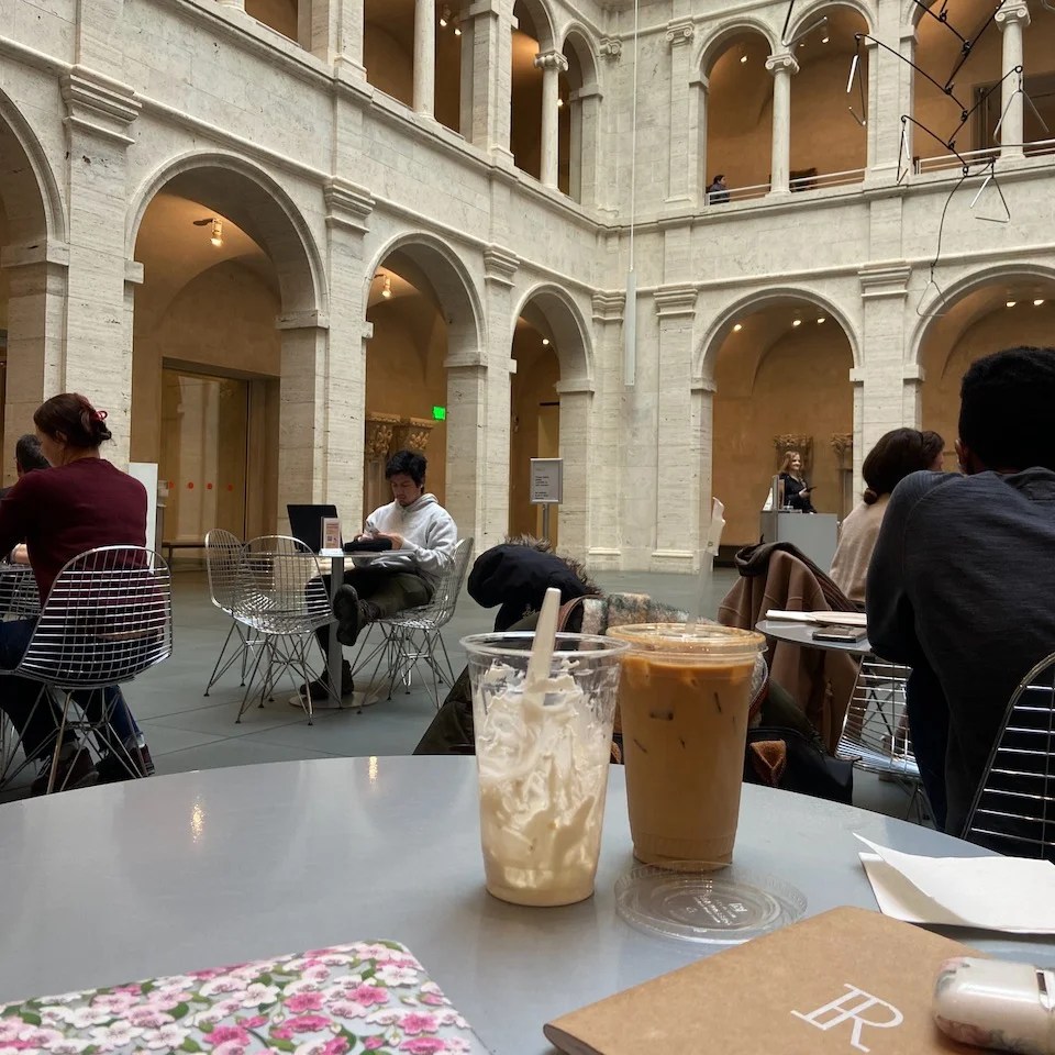 Favorite Study Spaces for Finals Harvard Alumni