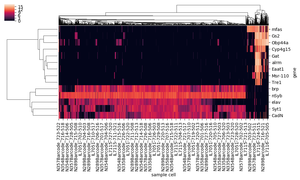Seaborn Heatmaps