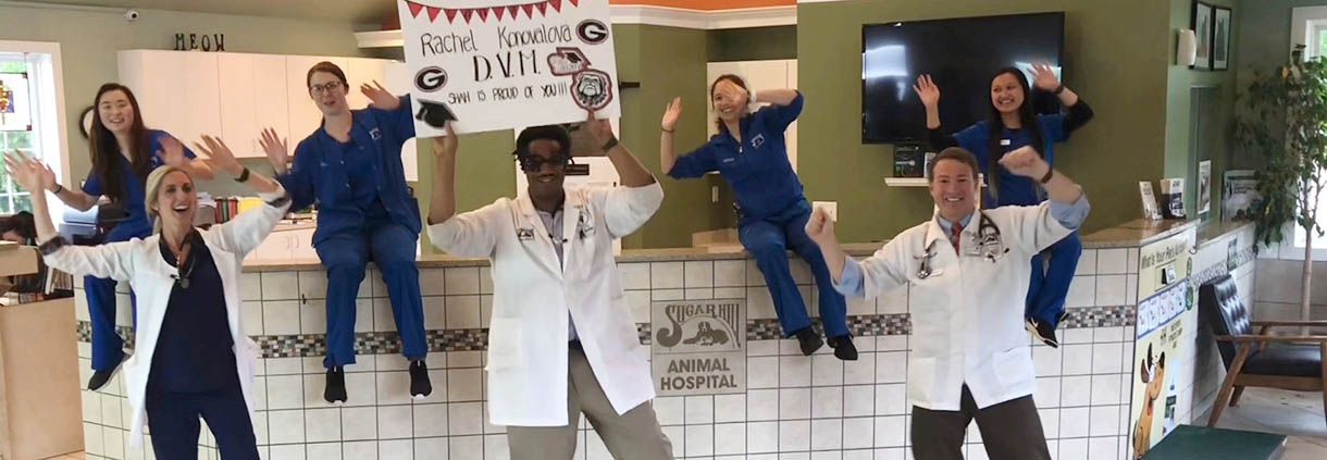 UGA Vet Med alumni step up to 2020 grads to the profession