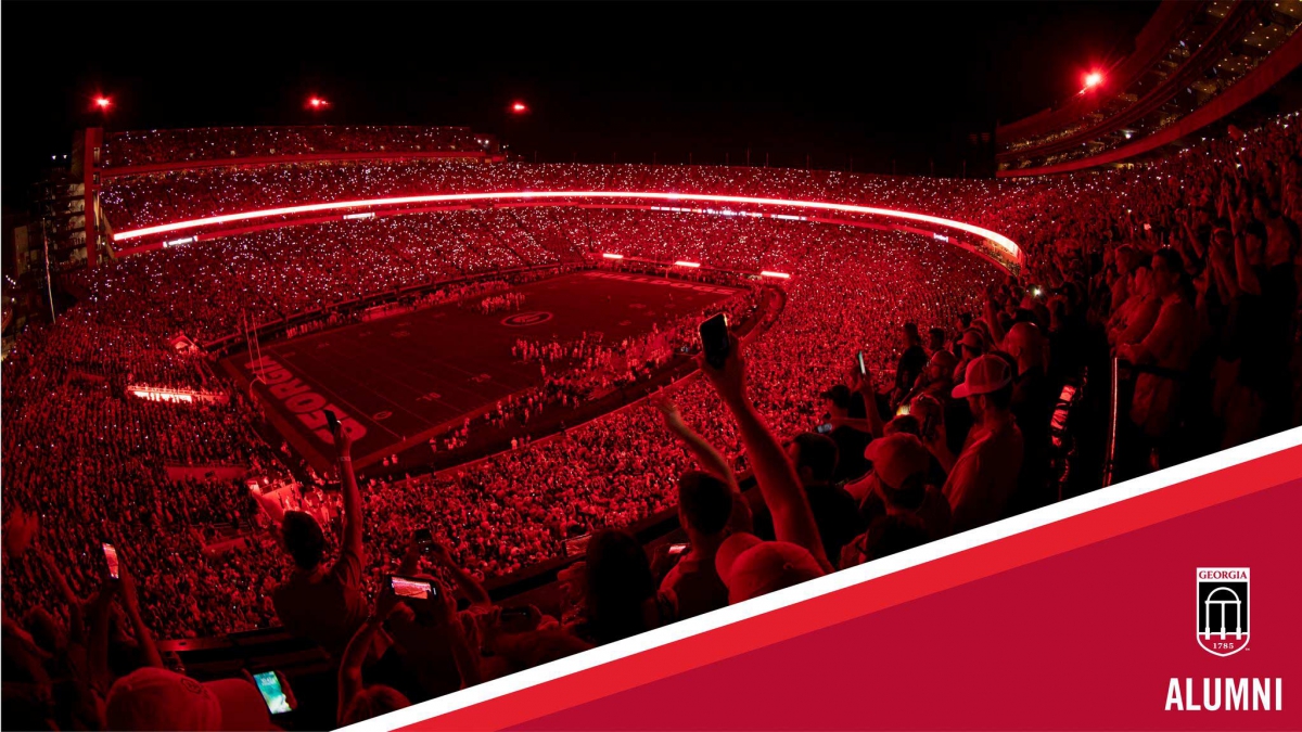 Bulldogs Stadium Wallpaper